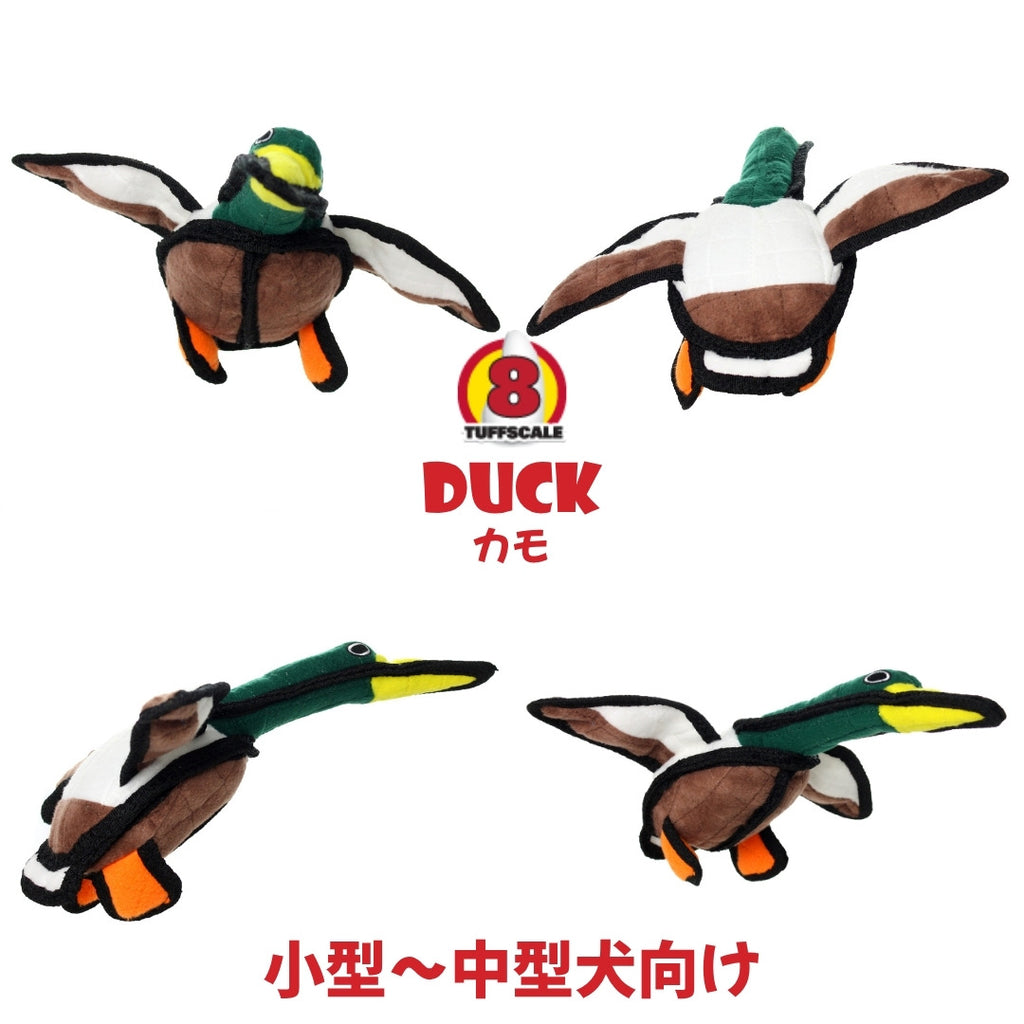 ジュニア　ダック