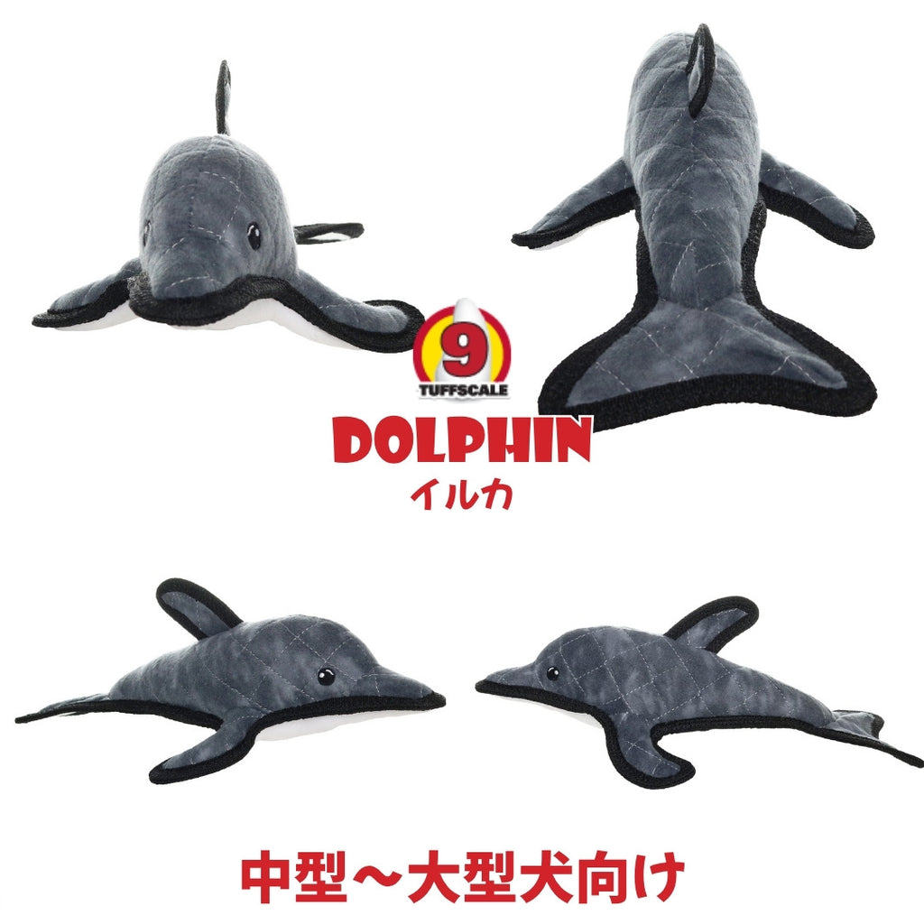 オーシャン　ドルフィン