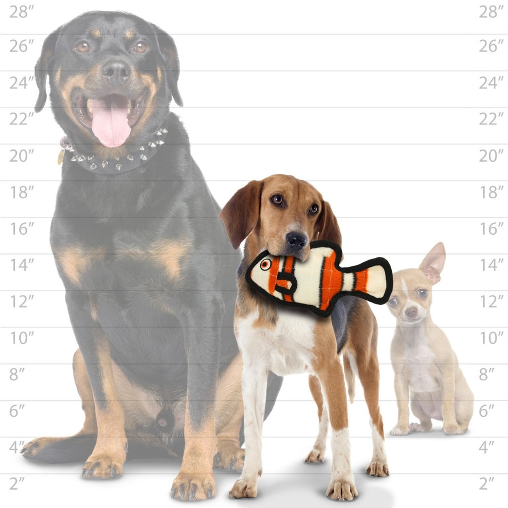 オーシャン　ジュニアフィッシュ　オレンジ