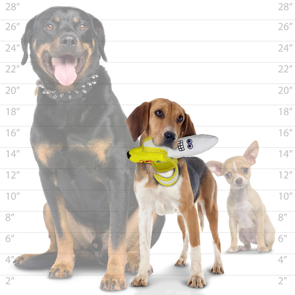 ファニーフード　バナナ