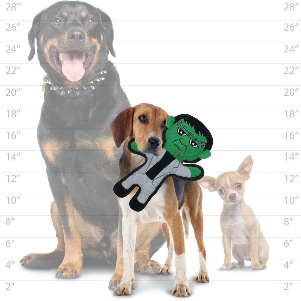 ホリディ　フランケンシュタイン