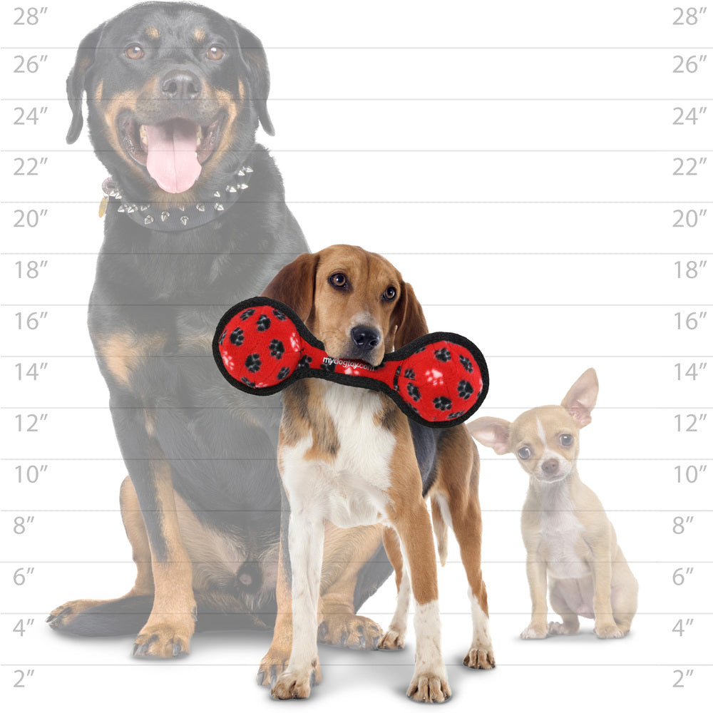 ジュニア　2ボールタグ　レッド　肉球柄