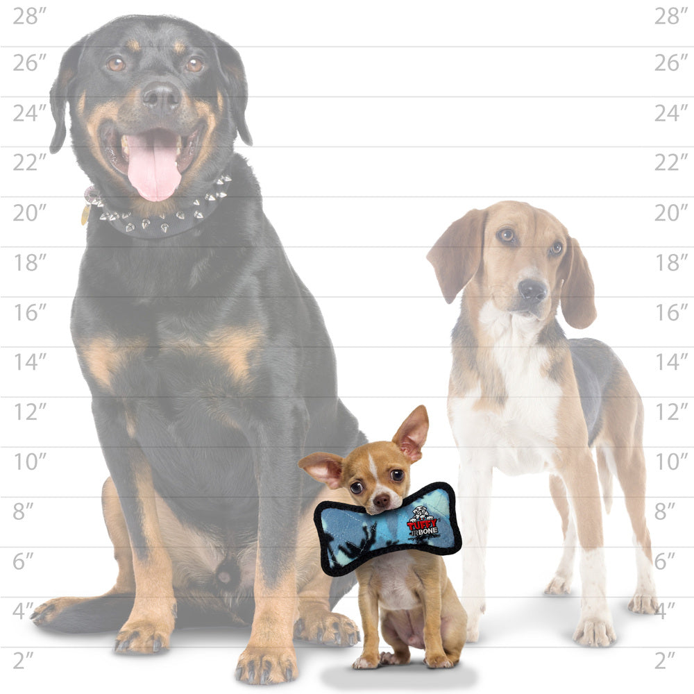 ジュニア　ボーン　カモフラ　ブルー