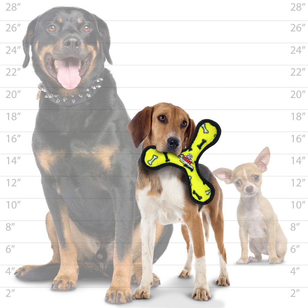 ジュニア　ブーメラン　イエロー　ボーン柄