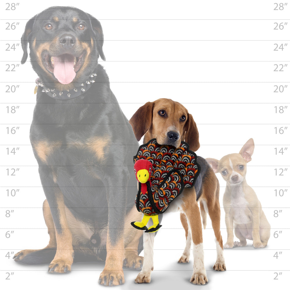 ジュニア　ターキー