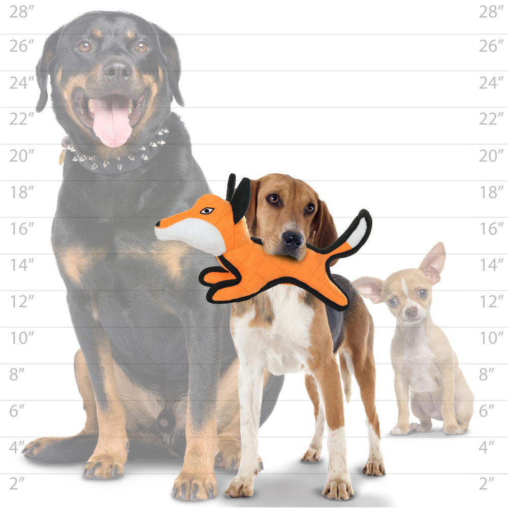 ジュニア　フォックス