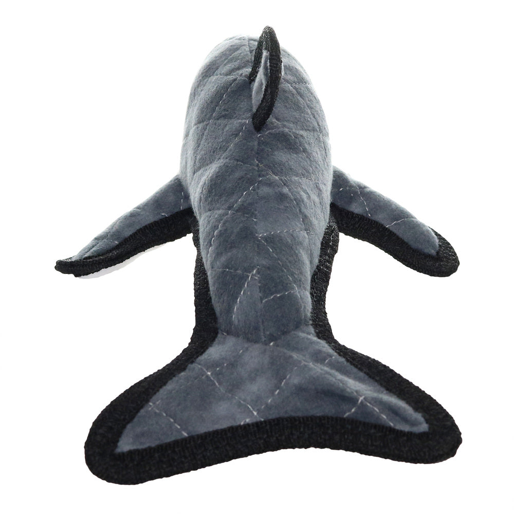 オーシャン　ドルフィン