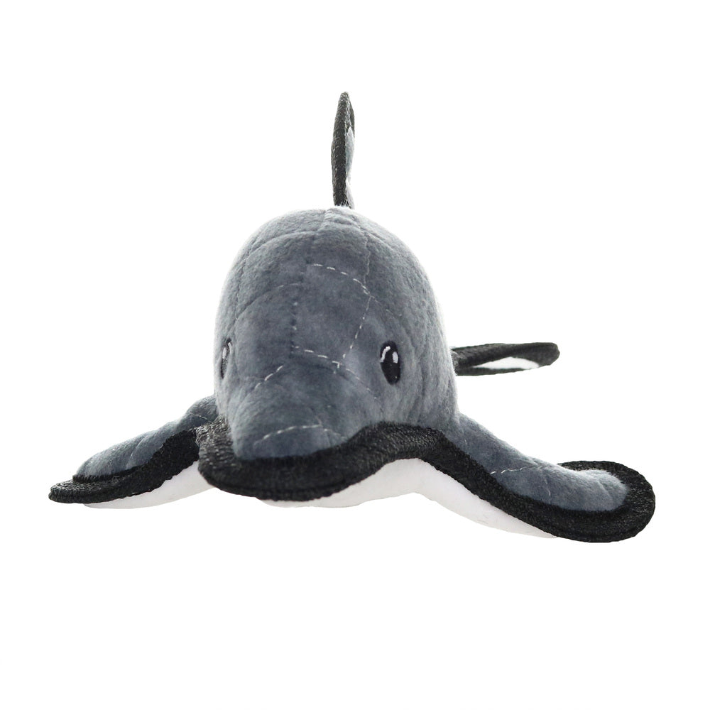 オーシャン　ドルフィン