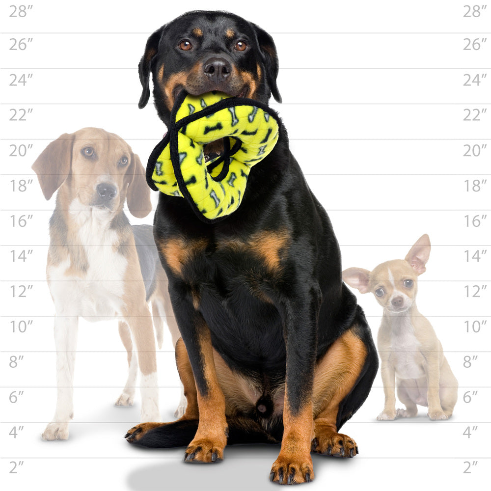 アルティメット　４ウェイリング　イエロー　ボーン柄