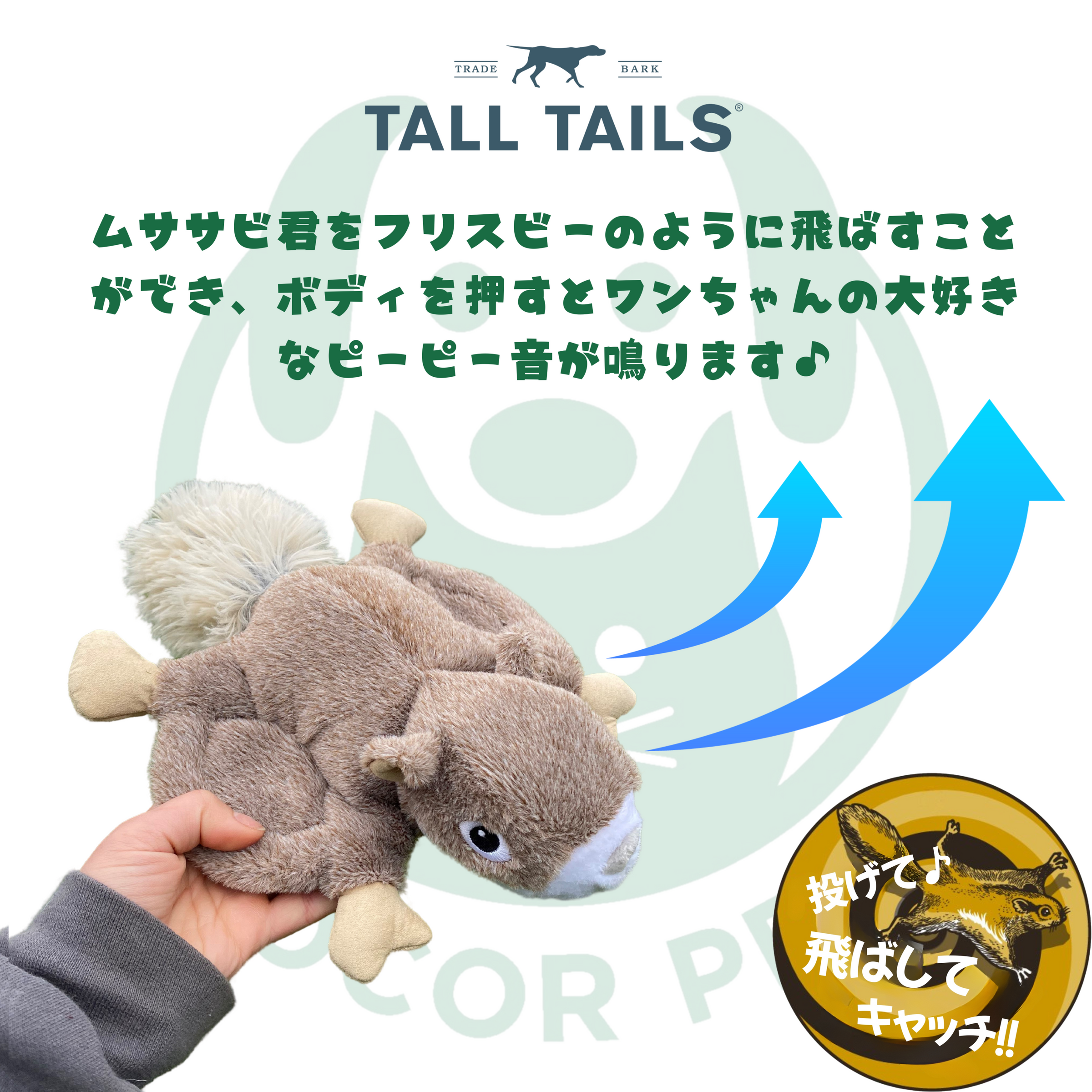 Amazon.co.jp: なんでしってるの!? しゃべくりハッピー