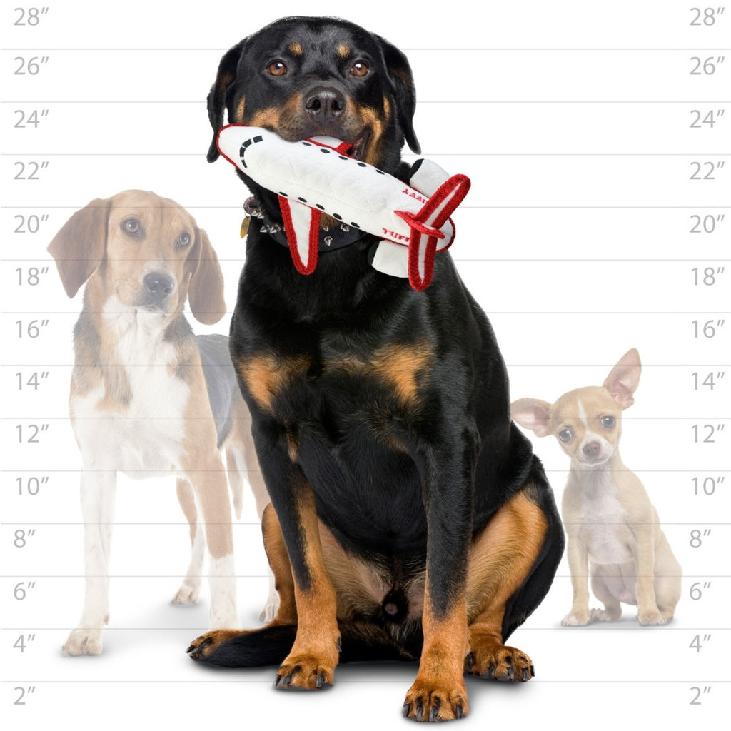 トランスポーテーション　飛行機