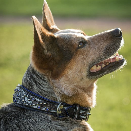 インディゴ】ハンドメイド レザー 手作り 犬用 首輪 アメリカ製 | COCORPET