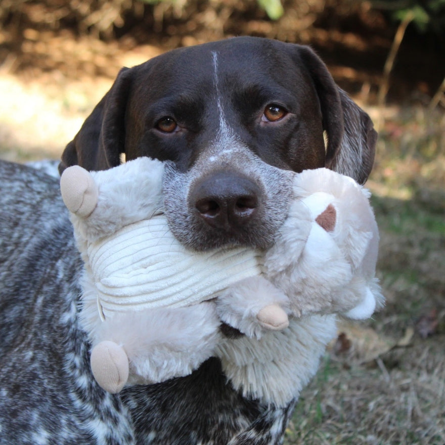 ぬいぐるみ R 23_22c8094a-4b1d-4131-9b99-